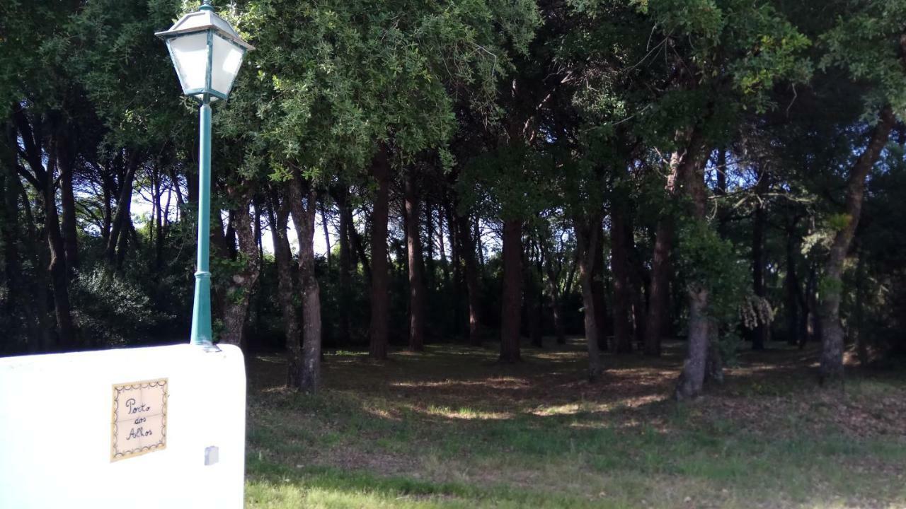 Enjoy The Best Of Countryside Leiria Exterior photo